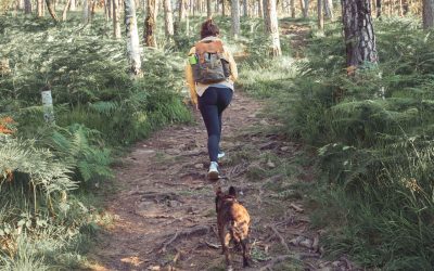 48 Hours in Parksville with your Pet