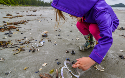 Exploring Tide Pools in Parksville