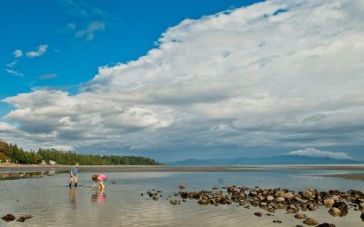 5 Family Friendly Activities in Parksville